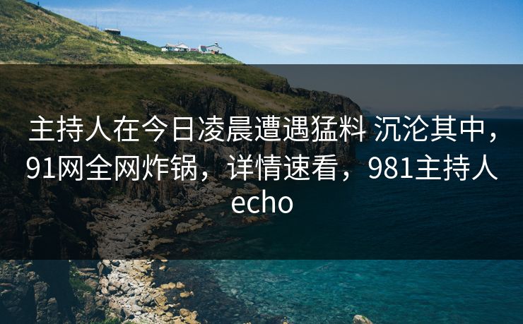 主持人在今日凌晨遭遇猛料 沉沦其中，91网全网炸锅，详情速看，981主持人echo