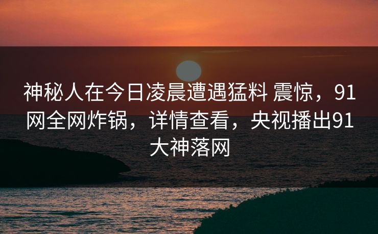 神秘人在今日凌晨遭遇猛料 震惊，91网全网炸锅，详情查看，央视播出91大神落网