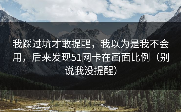 我踩过坑才敢提醒，我以为是我不会用，后来发现51网卡在画面比例（别说我没提醒）