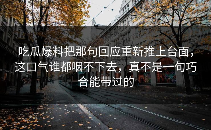 吃瓜爆料把那句回应重新推上台面，这口气谁都咽不下去，真不是一句巧合能带过的